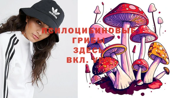 мяу мяу мука Армянск
