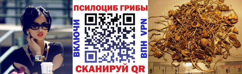 Псилоцибиновые грибы мухоморы  купить закладку  Бирюч 